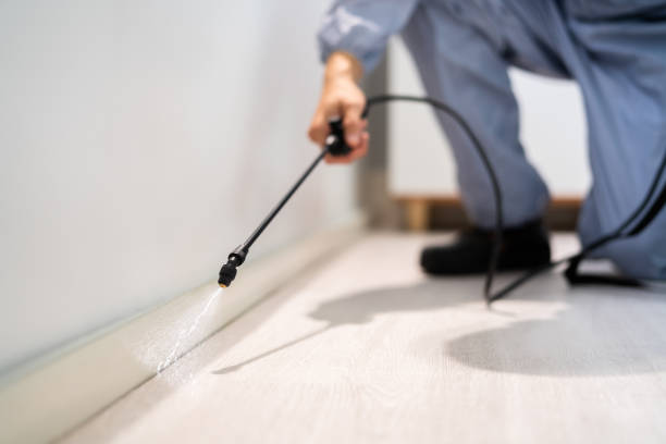 Licensed Rodent Control service in Huntington County County, IN - Nex Pest Control